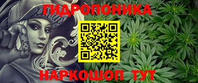 молекула духа Обнинск