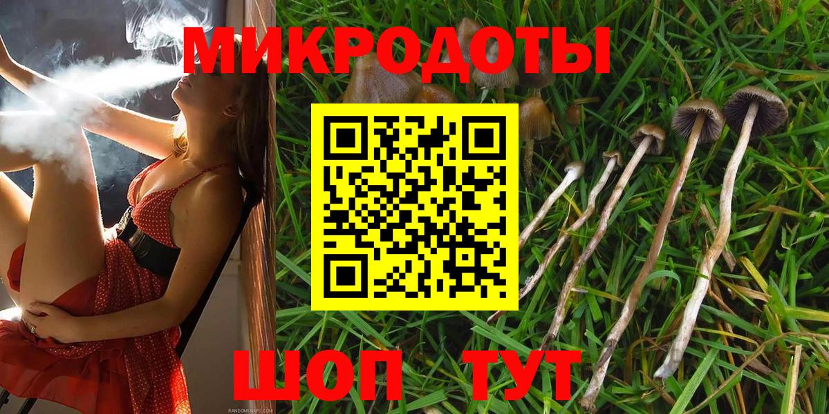 Соликамск  Галлюциногенные грибы Cubensis  Вход с VPN  Псилоцибиновые грибы Psilocybine cubensis 